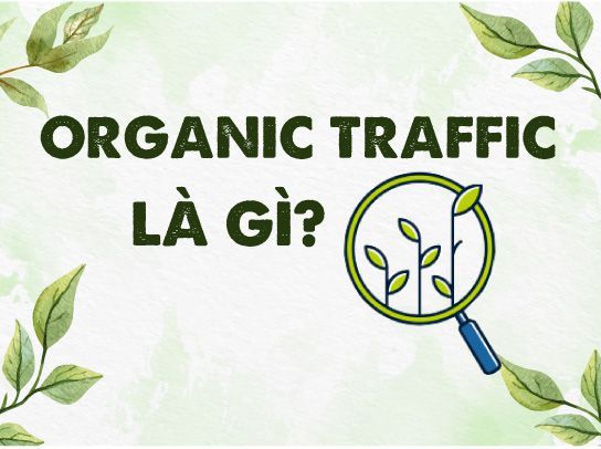 Organic Traffic Là Gì