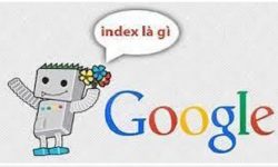 google index là gì