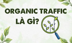 Organic Traffic Là Gì