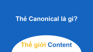 Canonical url là chỉ định đặc biệt được nhúng vào website để biết nguồn gốc thông tin bài viết