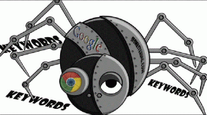 spider Google bot la gi