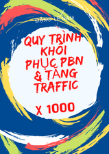 Quy Trình Khôi Phục & Sử Dụng PBN đúng Cách Tăng Traffic X1000 - Công Ty Giải Pháp SEO