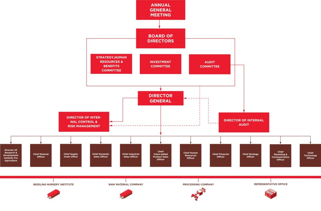 Tổng Quan Về Chief Experience Officer (CXO) - Công Ty Giải Pháp SEO